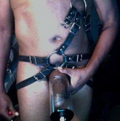 geared in leather harness