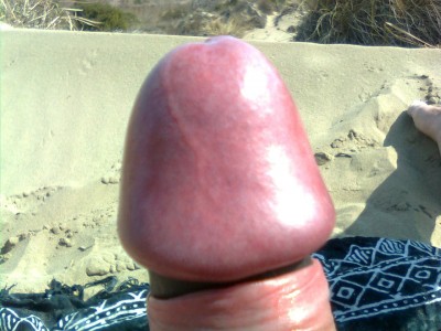 Cockhead at nude beach