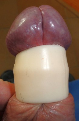 r3.jpg