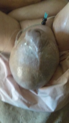 IMAG1061.jpg