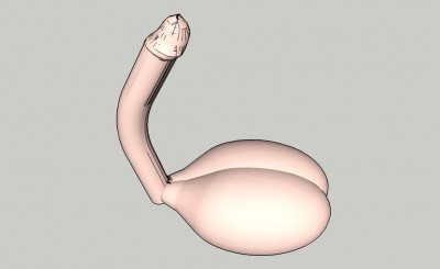 Little Dick.jpg