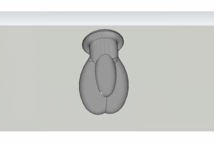 cvase 2.gif