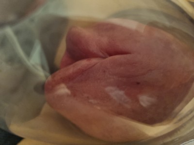 20220427_001953.jpg