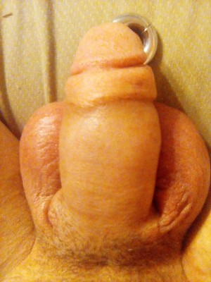 IMG-20221203-WA0004.jpeg
