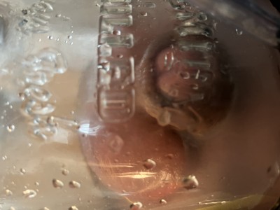 626C8263-CF4F-4734-8590-303F4D770DD4.jpeg