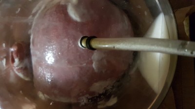 20230920_223343.jpg