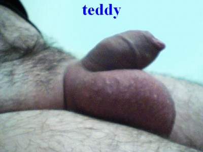 0 teddy 42.jpg