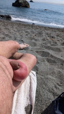 PXL_20240811_231114755.jpg