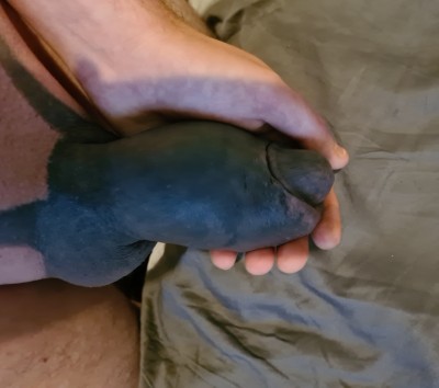 20240831_103715.jpg