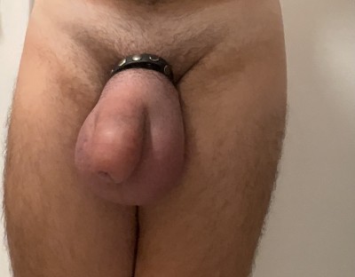 IMG_0204.jpeg