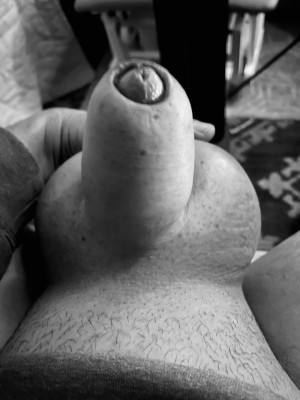 IMG_7586.jpeg