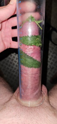 20240928_005110.jpg