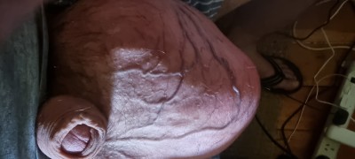 20241112_112706.jpg