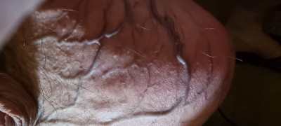 20241112_112721.jpg