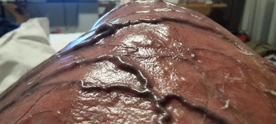 20250110_220720.jpg
