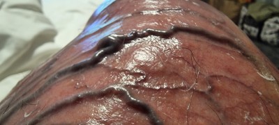 20250110_220712.jpg