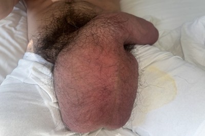 IMG_6599.jpeg