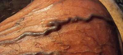20250210_234405.jpg