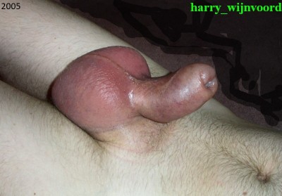 0 harry_wijnvoord 1 2005.jpg