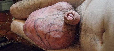 20250319_111931.jpg