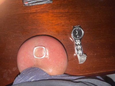 IMG_0285.jpeg
