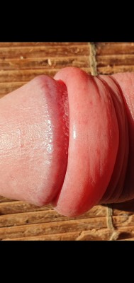 cock head