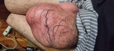 20250529_044640.jpg