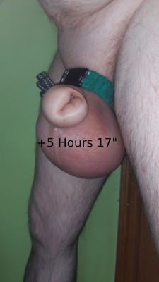 07.5.Hours.17.inches.jpg