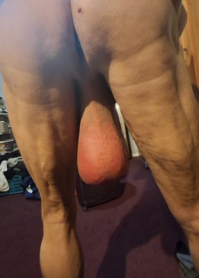 13.jpg