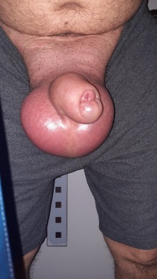 B.jpg