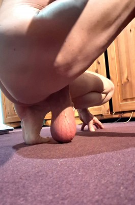 14.jpg